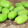 Kiwi Aktinidia Kokuwa (ostrolistna) SAMOPYLNA P9/C1