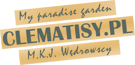 Sklep internetowy Clematisy.pl