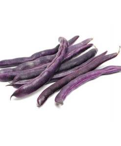 Fasolka szparagowa 'Purple Teepee' P9/C1 - obrazek 4