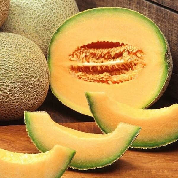 Melon 'Seledyn' P9/C1