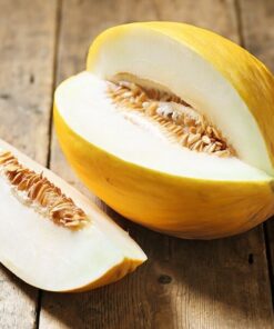 Melon 'Złocisty' P9/C1