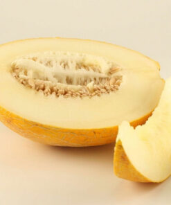 Melon 'Złocisty' P9/C1 - obrazek 4