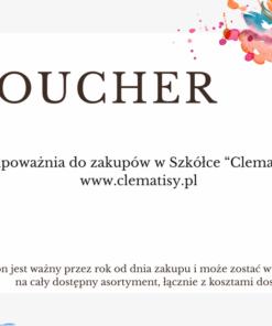 Karta podarunkowa elektroniczna