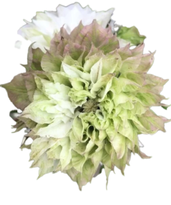 bd9dd9e1f35c1ab71a59af1bccd57509