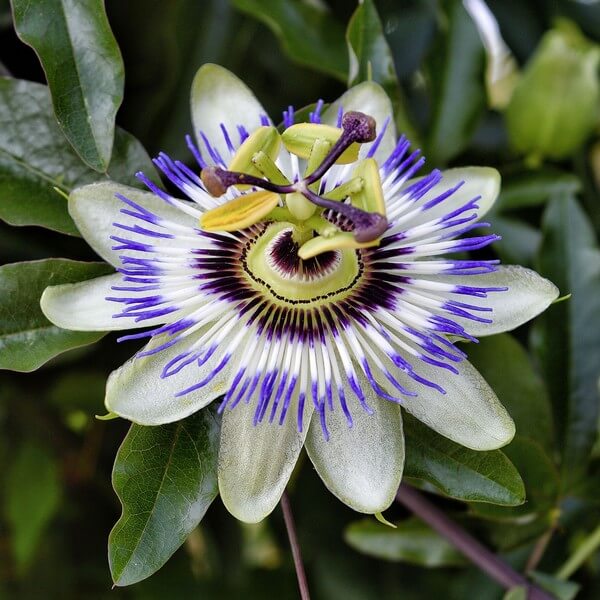 5aa3b21f057e76bac4e81ea1eaa58055