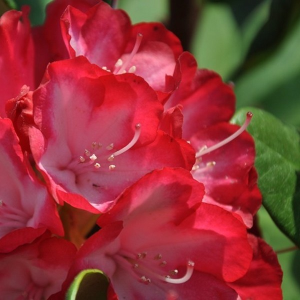 18dafcbe8bcd582c5608568e9e783dc4