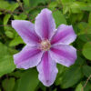 5201202304a1302e5f94fec00da20a36