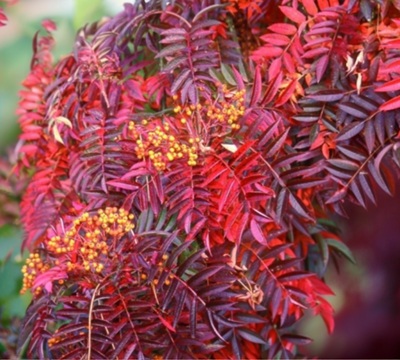 d7bcd4068e44aaff22ab7d40cbd3a36a
