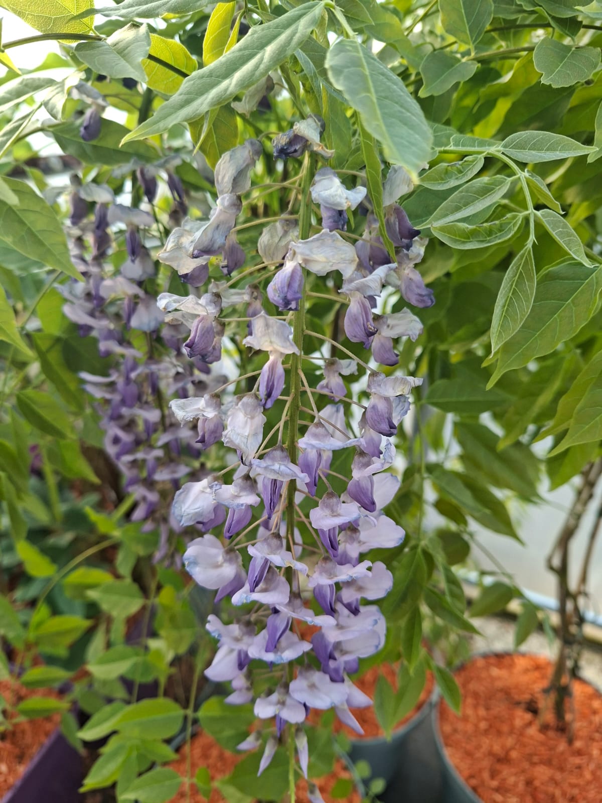 e0c05f49c02e730d357c617ec7bfab55