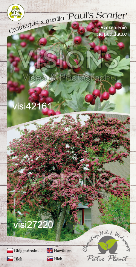 287b0b305b440e550e4700a8d942451a