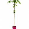 810fff0c921217e2ab14094410d498d0