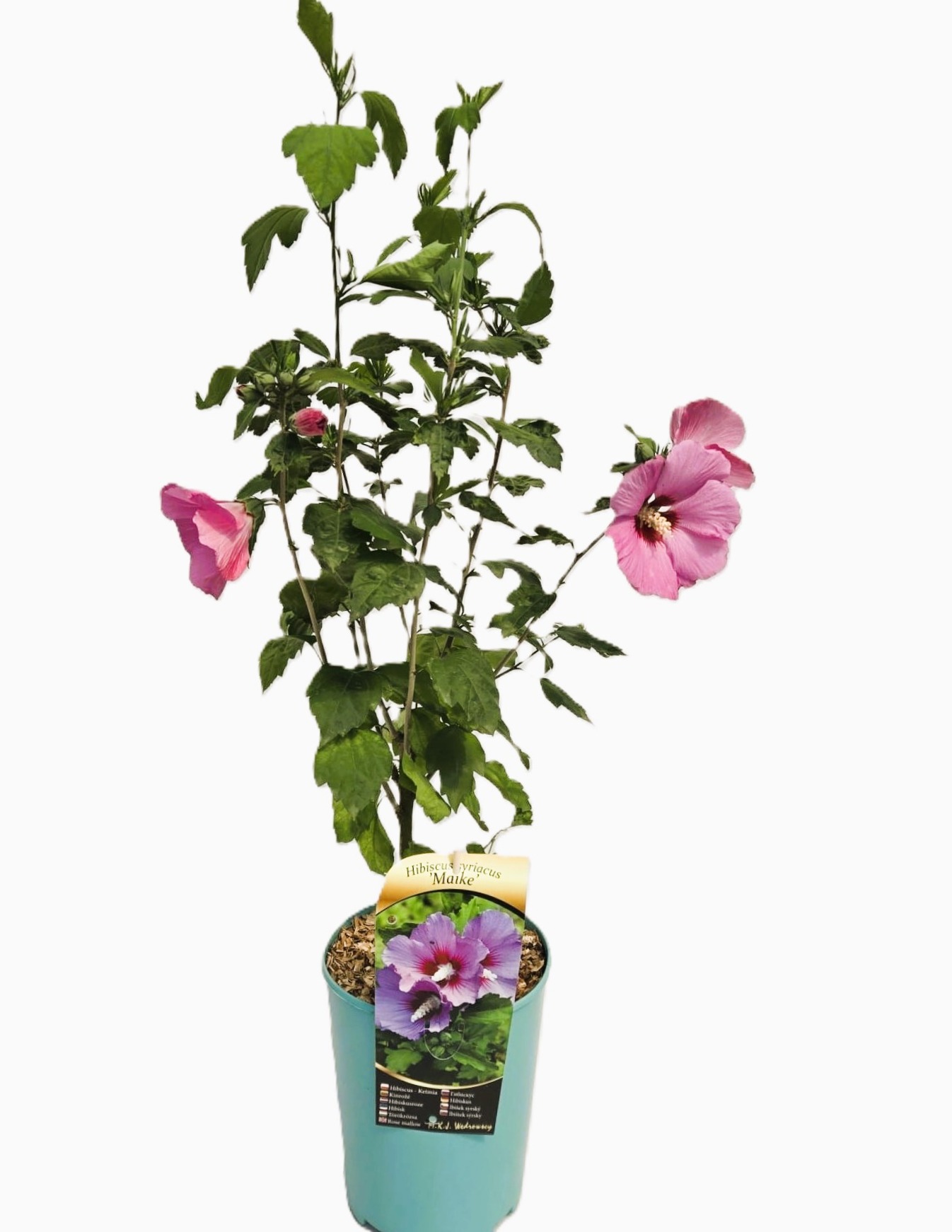 0d22a6c5665ebbada5eca85315122421